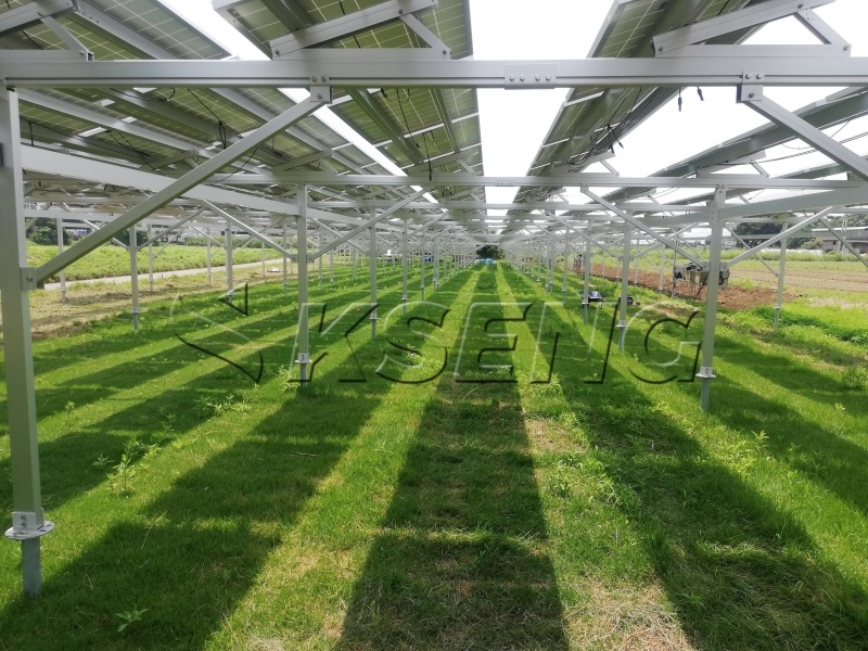 Un article sur les systèmes photovoltaïques agricoles complémentaires