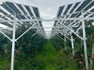 Projet de ferme solaire agricole de 3 MW en Allemagne